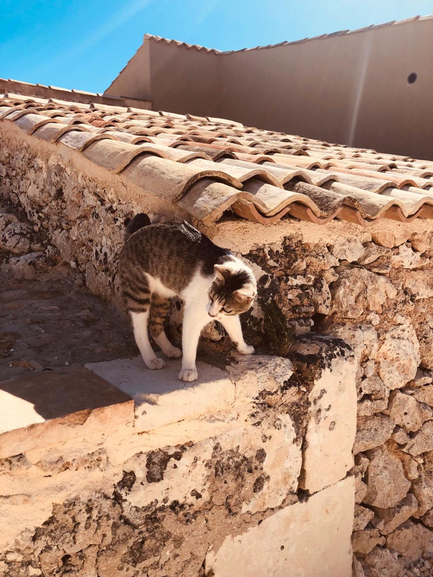 Casa Imayah Charming B&B Noto Exterior foto